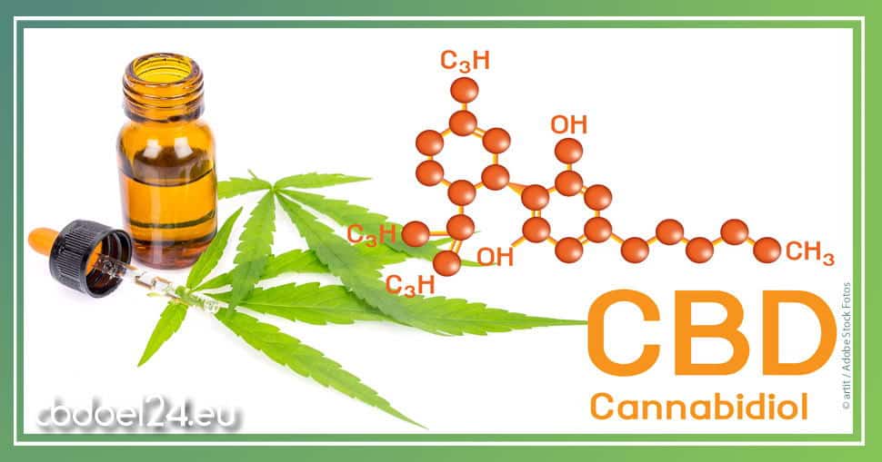 CBD Öl ohne THC kaufen