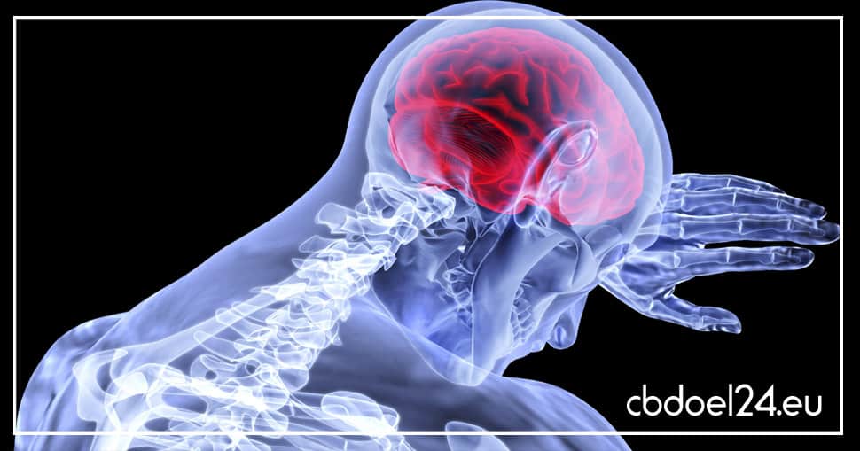 Endocannabinoid-System