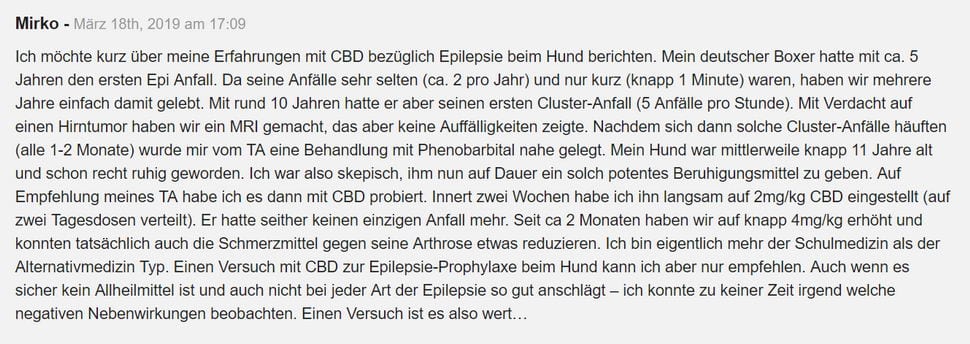Erfahrungsbericht zu CBD Öl bei Epilepsie Hund