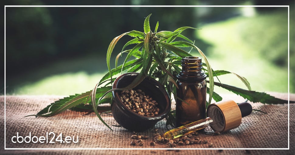 Bestes CBD Öl kaufen