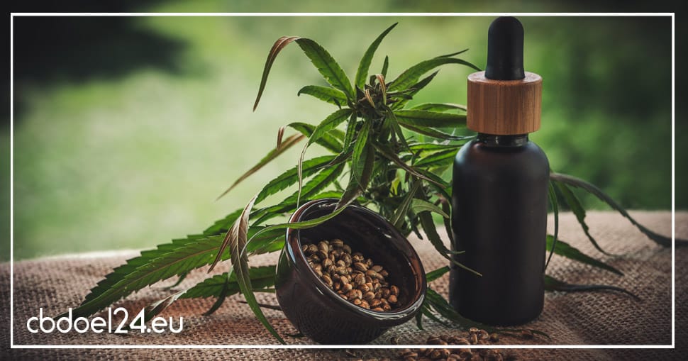 Bestes CBD Öl